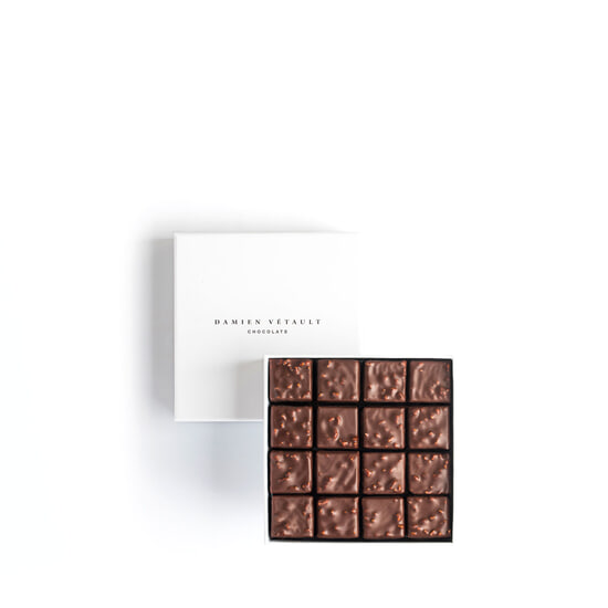 Damien Vétault Assortiment Chocolats Noir - Pralinés Inspirations 16 Chocolats