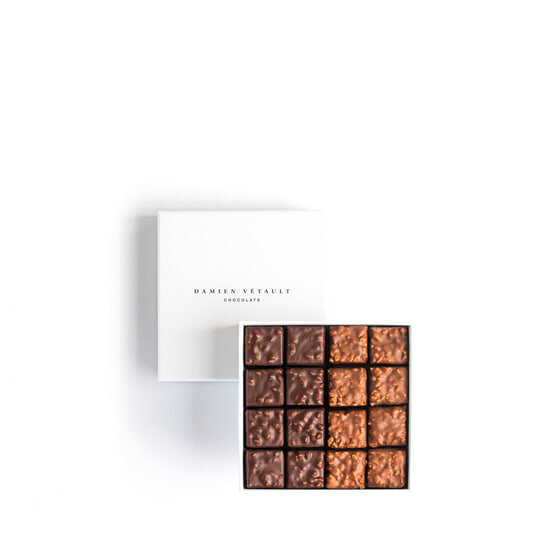 Damien Vétault Assortiment Chocolats Noir & Lait - Pralinés Inspirations 16 Chocolats