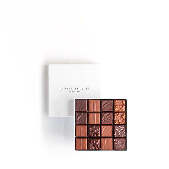 Damien Vétault Assortiment Chocolats Noir & Lait - Pralinés Les Pralinés 16 Chocolats